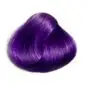 Coloration Cheveux Ultra Violet – Directions | Color-Mania