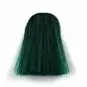 Coloration Cheveux Vert Enchanted Forest – Manic Panic | Color-Mania.fr