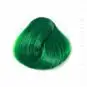 Coloration Cheveux Vert Pomme – Directions | Color-Mania