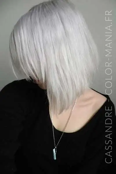 Cassandre Silver Hair La Riché Directions - Color-Mania