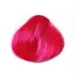 Coloration Cheveux Flamand Rose - Directions | Color-Mania