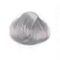 Coloration Cheveux Gris Argent - Directions | Color-Mania