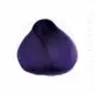 Coloration Cheveux Violet Patsy Purple - Herman's Amazing | Color-Mania