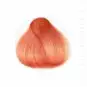 Coloration Cheveux Rose Rosie Gold - Herman's Amazing | Color-Mania