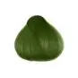 Coloration Cheveux Vert Jorge - Herman's Amazing | Color-Mania