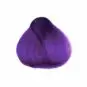 Coloration Cheveux Violet Electra - Herman's Amazing | Color-Mania