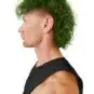 Coloration Cheveux Vert Jorge - Herman's Amazing | Color-Mania