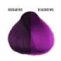 Coloration Cheveux Violet Orchid - Herman's Amazing | Color-Mania