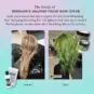 Coloration Cheveux Vert Jorge - Herman's Amazing | Color-Mania