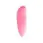 Arctic Fox Frose Couleur