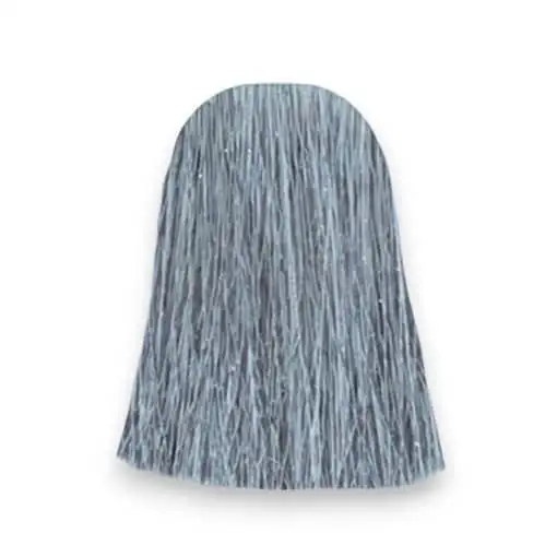 Blue Steel Meche Gris Coloration Cheveux Manic Panic Color Mania meche