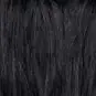 Apres shampoing colore Black Kat Noir Swatch Manic Panic