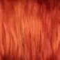 Apres shampoing colore Copper Kitty Swatch Manic Panic