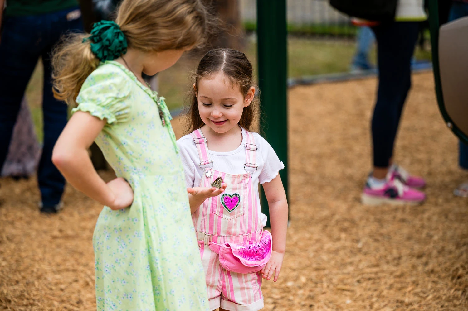 Dedication of Blakely's Butterfly Installation at Joe Gaither Park in Bellaire, TX December 13, 2025