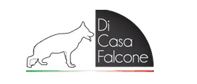 Cuccioli Pastore Tedesco Casa Falcone