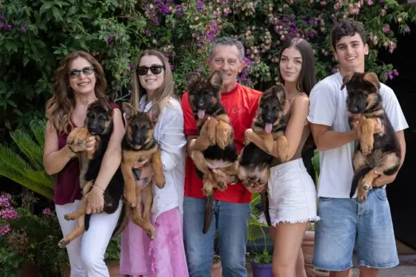 cuccioli di pastore tedesco