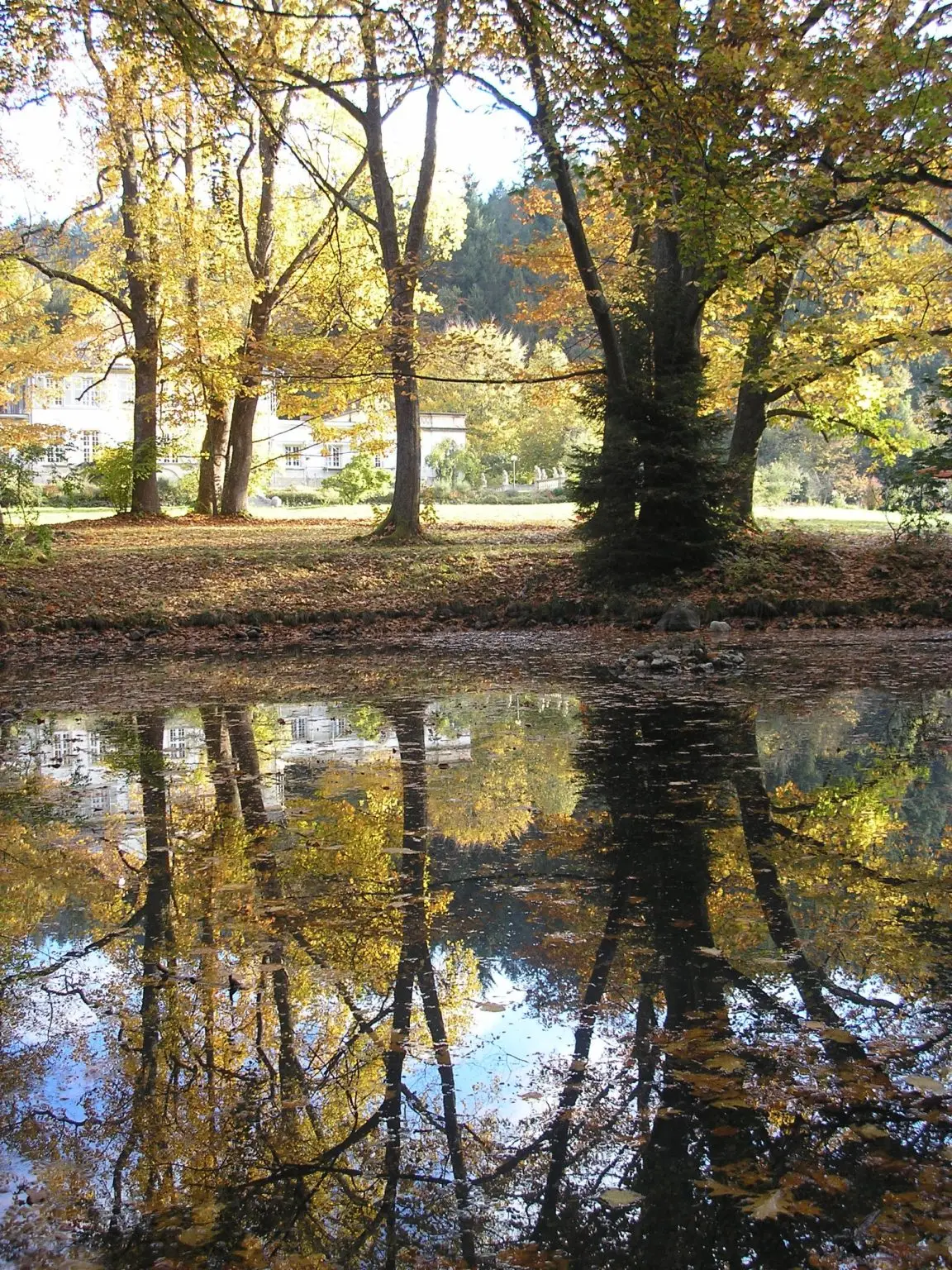Fotogalerie Freiburg 1 Ueber Villa 1 1 1152x1536 1