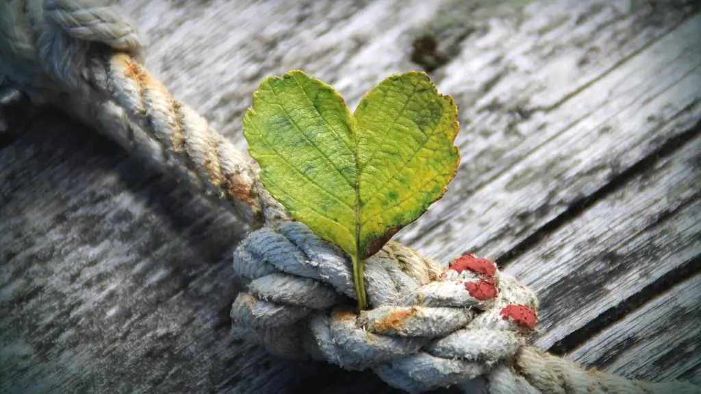 toxic relationship toxische beziehung