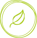Icon für vegan