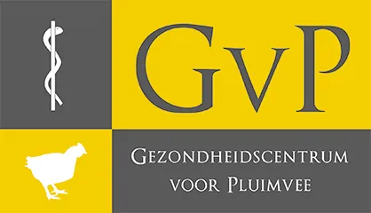 GvP