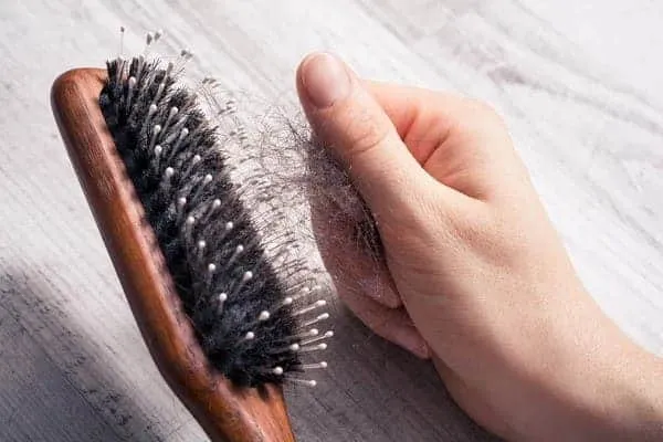 Hair Transplant Shedding hair transplant shedding hair on comb