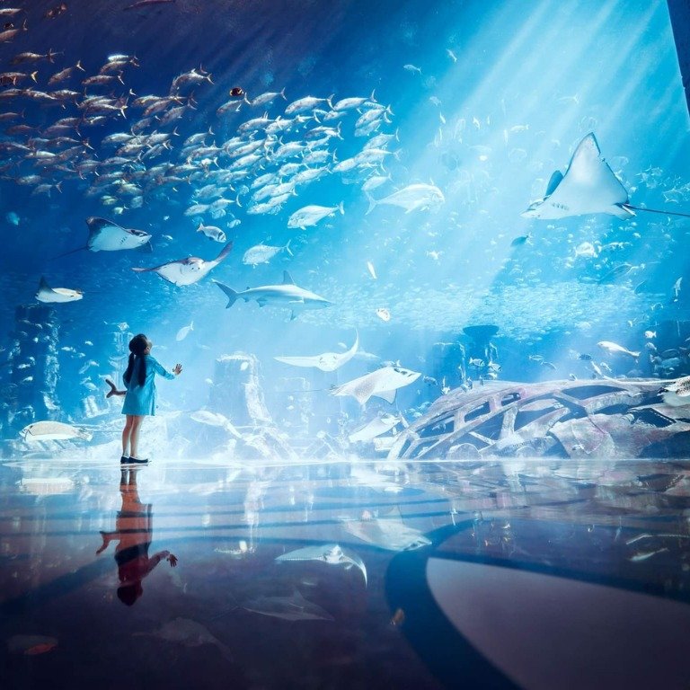Memorable 5 Days and 4 Nights in Dubai
