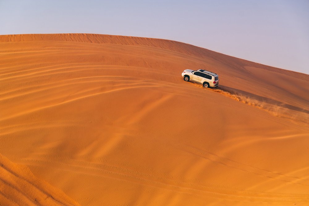 Dubai Expo with Desert Safari Package