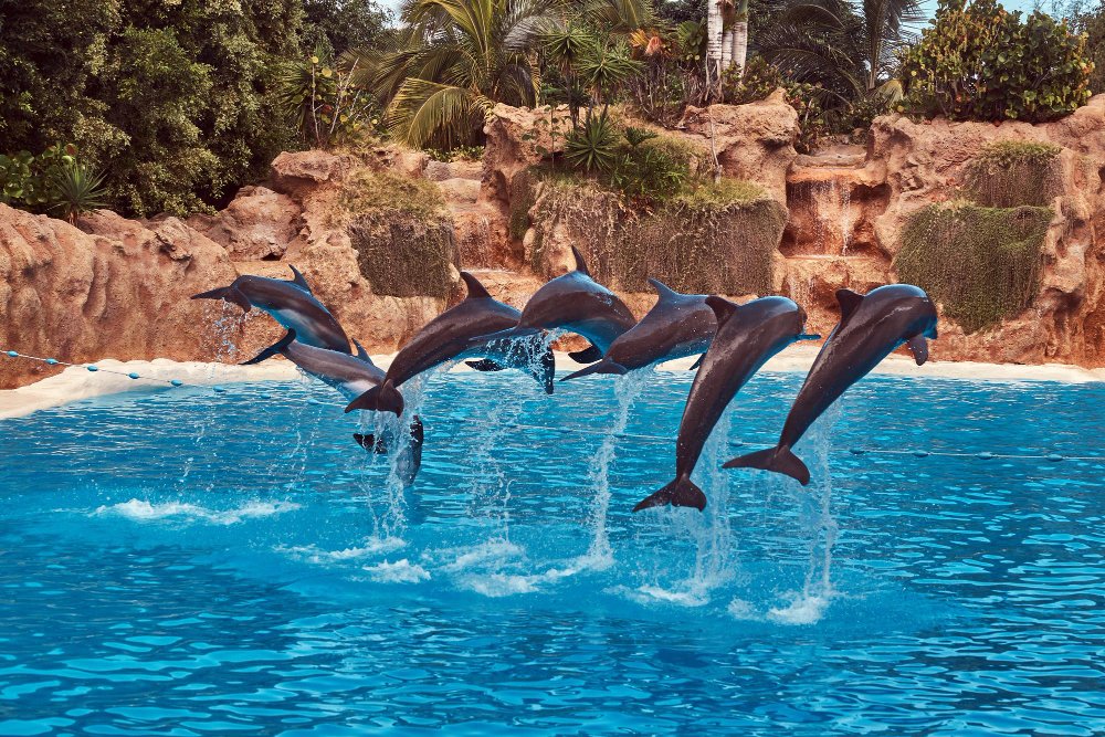 5 Days Dubai Tour With Cruise and Sightseeing Packages