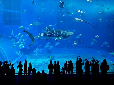 Exploring Top Tourist Destinations in UAE