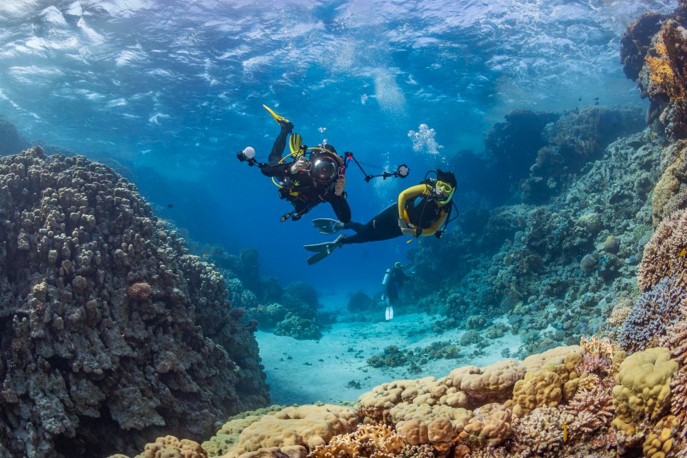 Scuba Diving in Fujairah