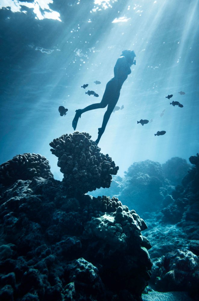 Scuba Diving in Fujairah