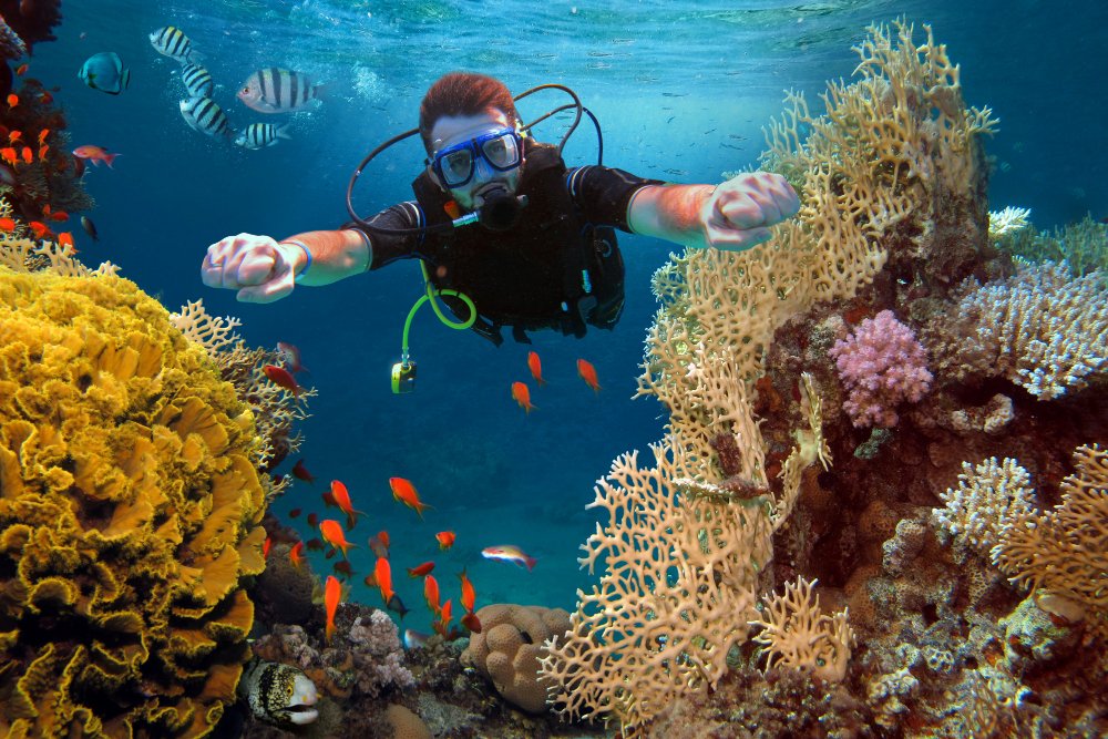 Scuba Diving in Fujairah