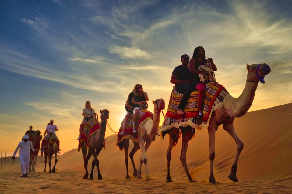 Guided Trip to Camel Farm