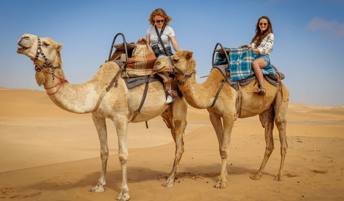 Guided Trip to Camel Farm