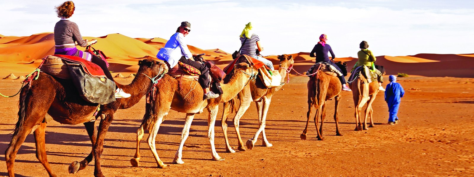 Guided Trip to Camel Farm