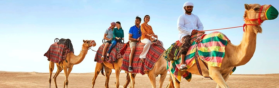 Guided Trip to Camel Farm