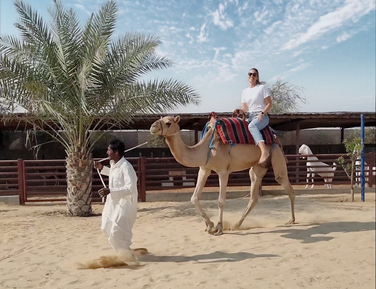 Guided Trip to Camel Farm