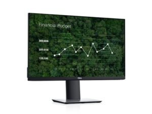 Dell 24 USB-C Monitor: P2419HC