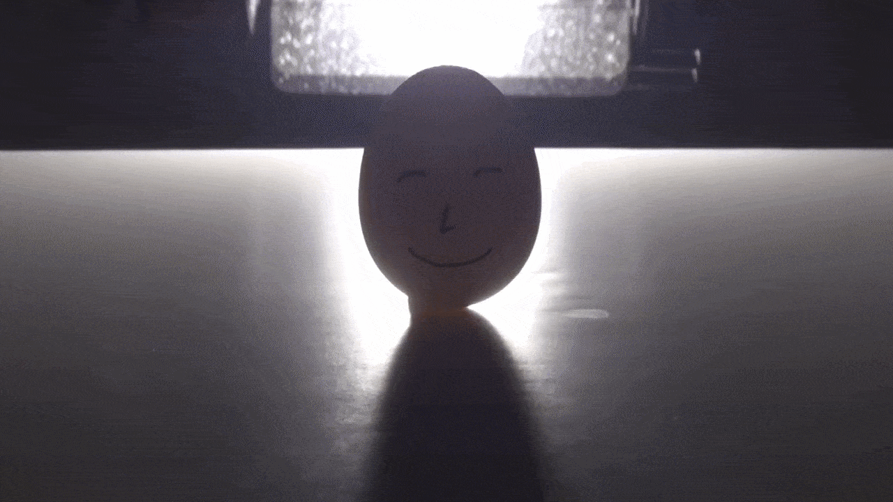 Light moves from back to front of egg