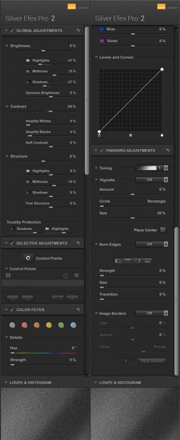 Nik Silver Efex Pro settings