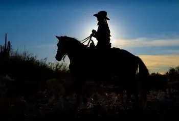 Cowboy at the Tanque Verde Ranch