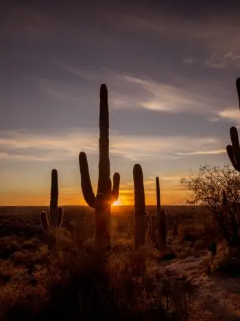 Sunset at the Tanque Verde Ranch
