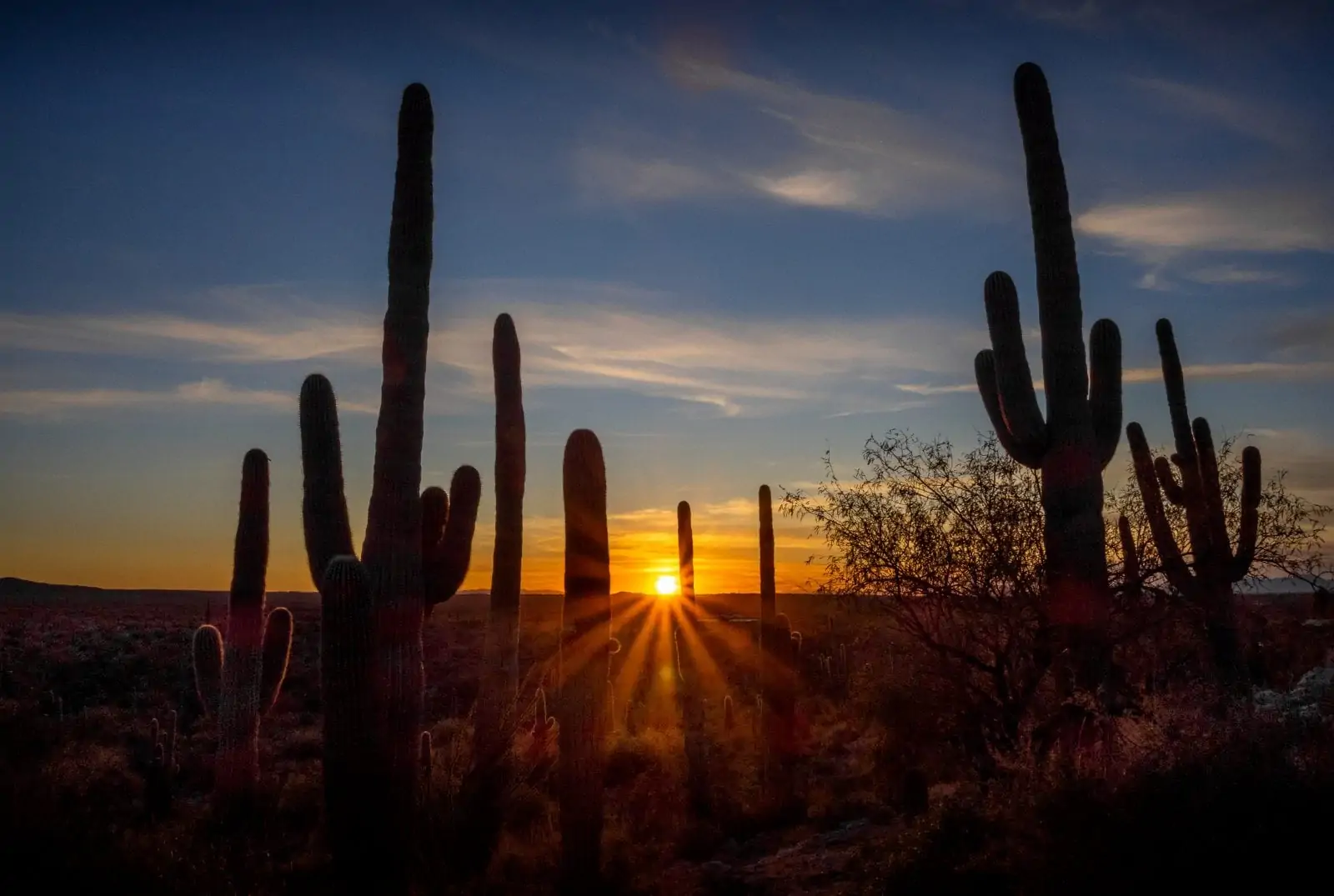 Sunset at the Tanque Verde Ranch