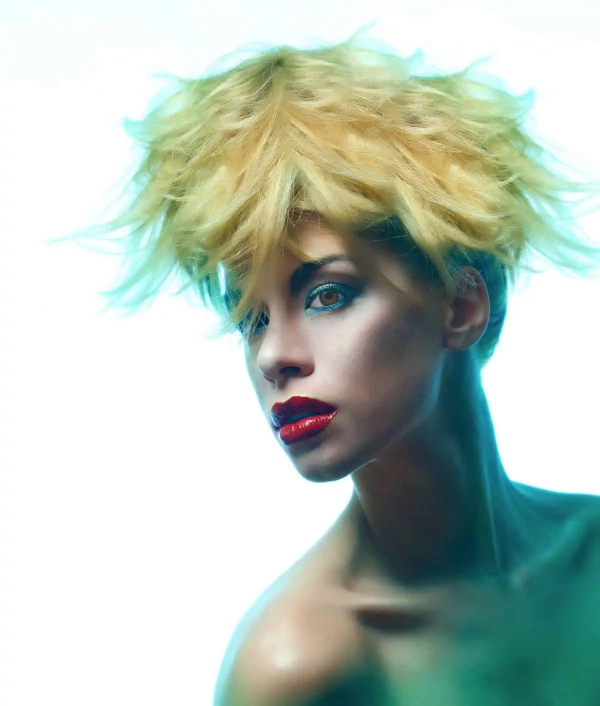 Fantasy Portrait Image photographed by Joe Edelman