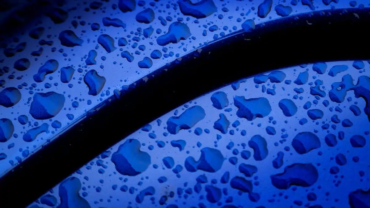 Abstract image photographed by Joe Edelman