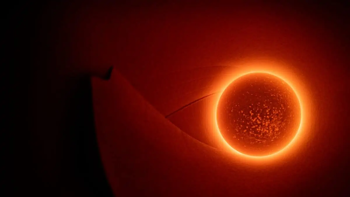 Abstract image photographed by Joe Edelman