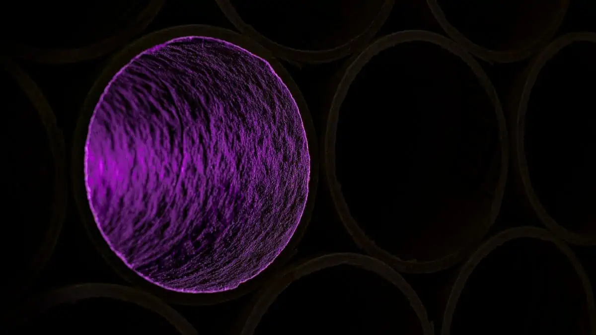 Abstract image photographed by Joe Edelman