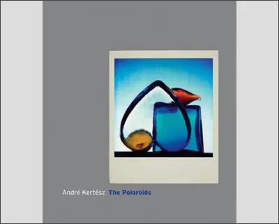 Book cover for The Polaroids by André Kertész