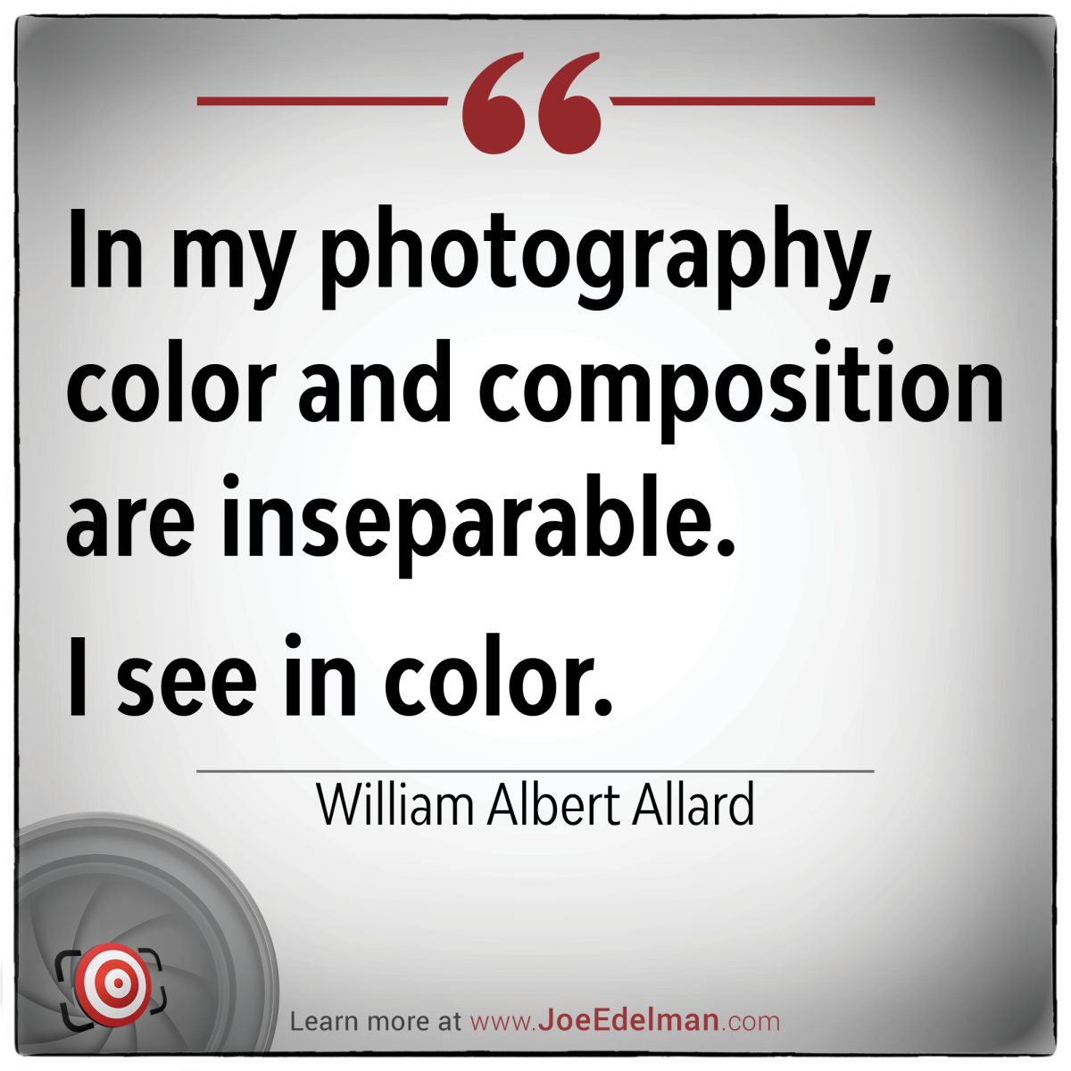 William Albert Allard captures the essence of photography through his belief in the inseparability of color and composition, highlighting how each element enhances the other to create a harmonious visual masterpiece.