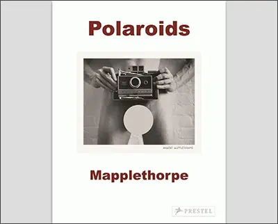 Robert Mapplethorpe: Polaroids Paperback – August 15, 2013by Sylvia Wolf (Author)